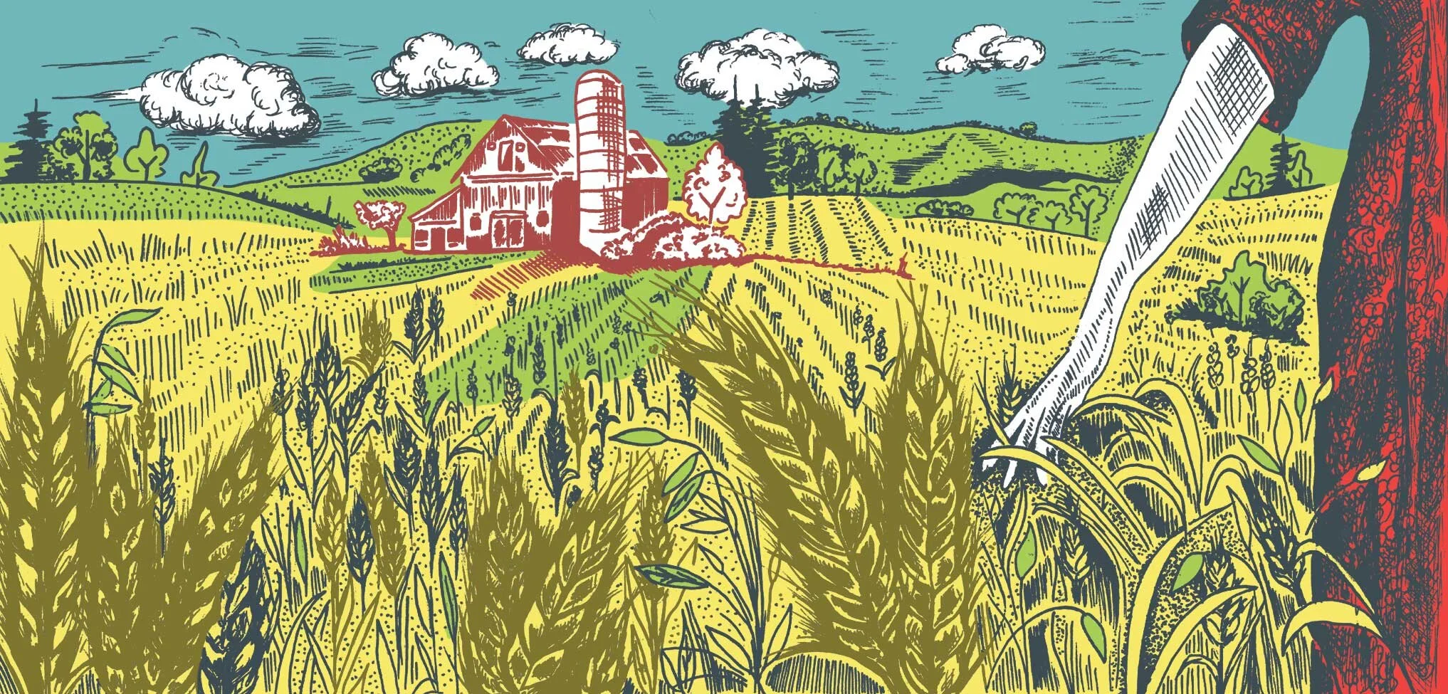 Custom Beer Label Design: Sunny Fields Farmhouse Ale — Hoot Design